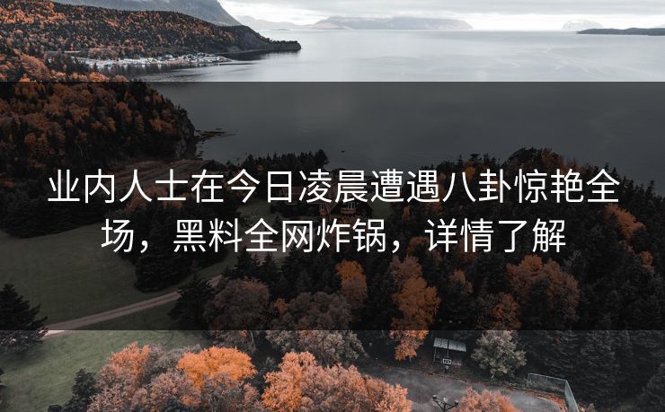 业内人士在今日凌晨遭遇八卦惊艳全场，黑料全网炸锅，详情了解