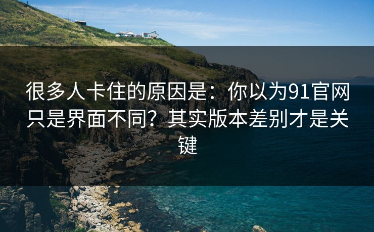 很多人卡住的原因是：你以为91官网只是界面不同？其实版本差别才是关键