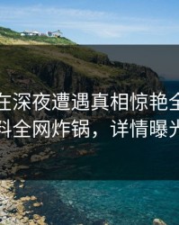 神秘人在深夜遭遇真相惊艳全场，黑料全网炸锅，详情曝光