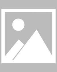 今天必须把话说清楚：别急着吐槽91官网，你可能只是多端适配没调对