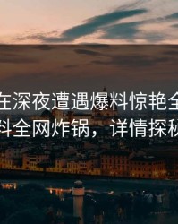 神秘人在深夜遭遇爆料惊艳全场，黑料全网炸锅，详情探秘