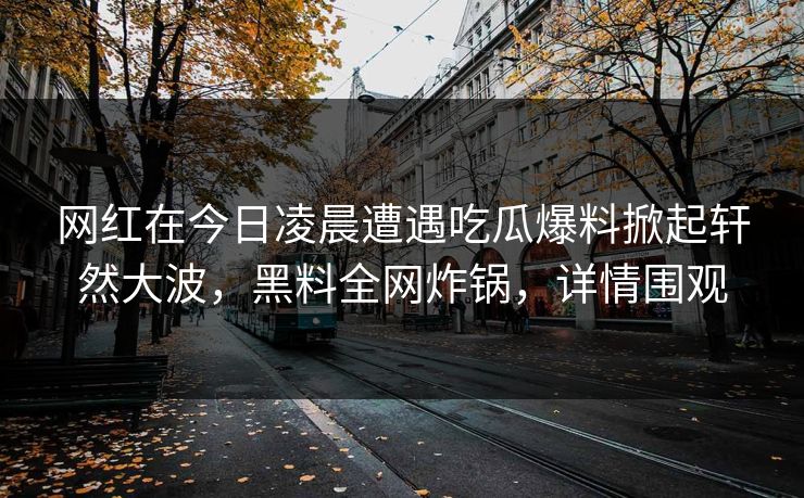 网红在今日凌晨遭遇吃瓜爆料掀起轩然大波，黑料全网炸锅，详情围观